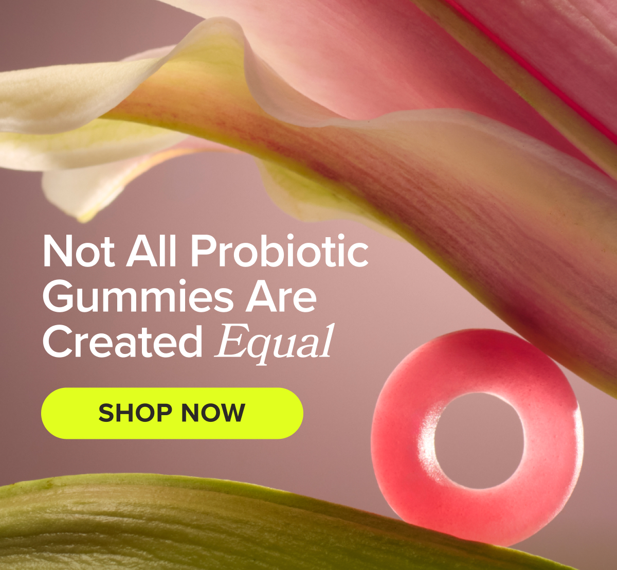 Not All Probiotic Gummies Are Created Equal SHOP NOW