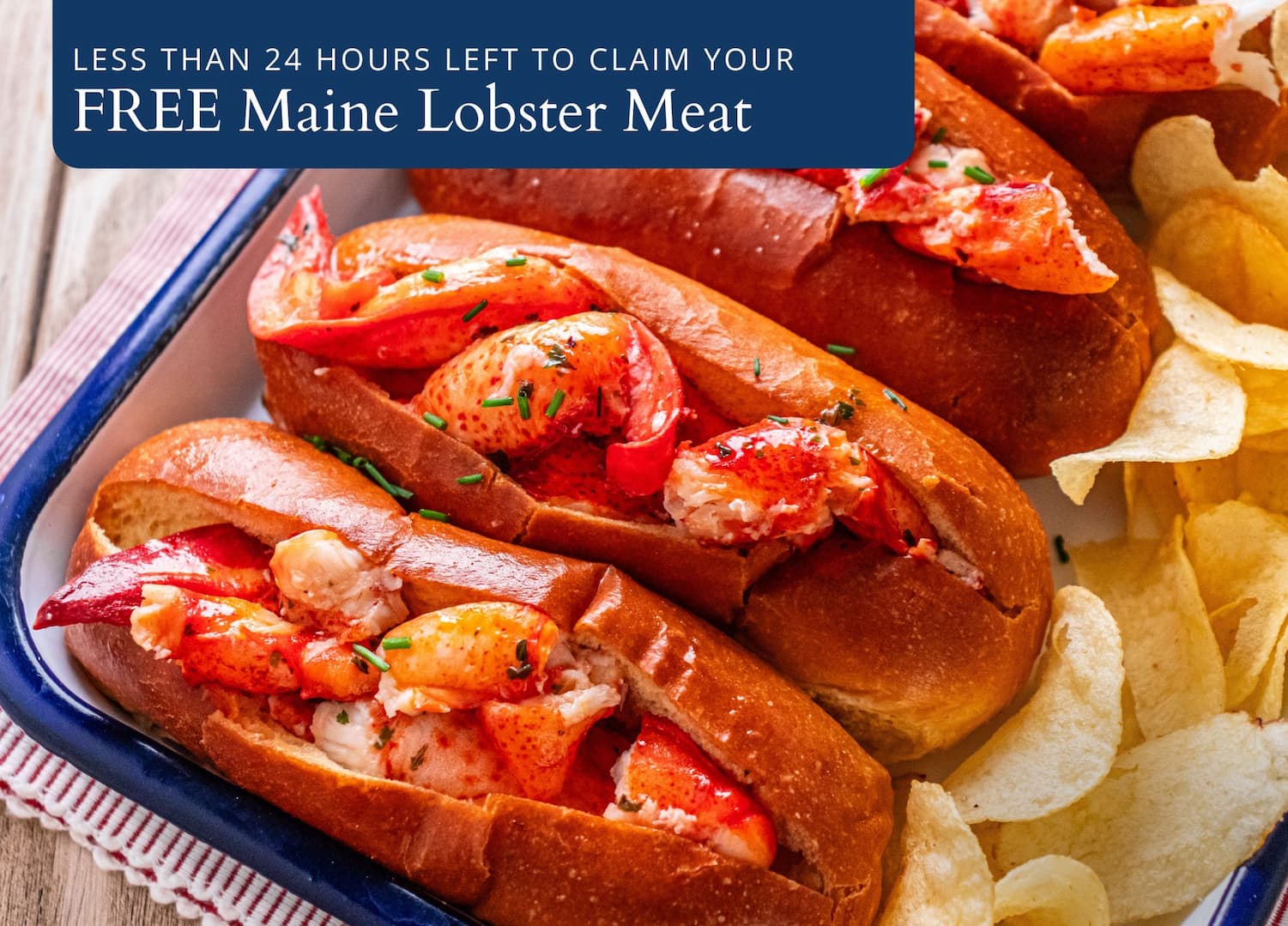Maine Lobster Meat