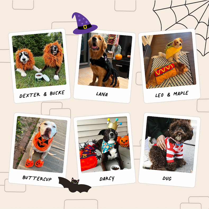 The Pups of Team Wuffes