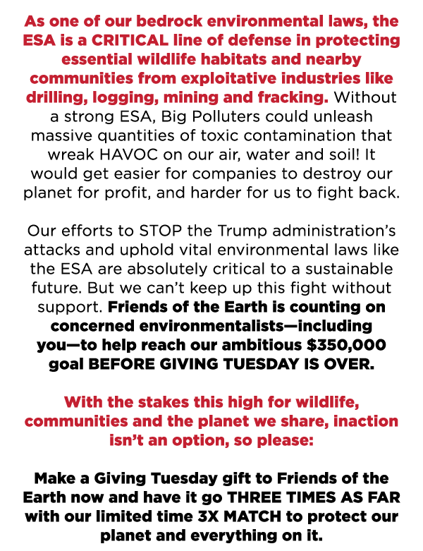 As one of our bedrock environmental laws, the ESA is a CRITICAL line of defense in protecting essential wildlife habitats and nearby communities from exploitative industries like drilling, logging, mining and fracking. Without a strong ESA, Big Polluters could unleash massive quantities of toxic contamination that wreak HAVOC on our air, water and soil! It would get easier for companies to destroy our planet for profit, and harder for us to fight back.  

Our efforts to STOP the Trump administration’s attacks and uphold vital environmental laws like the ESA are absolutely critical to a sustainable future. But we can’t keep up this fight without support, Andy. Friends of the Earth is counting on concerned environmentalists – including you – to help reach our ambitious $350,000 goal BEFORE GIVING TUESDAY IS OVER.  

With the stakes this high for wildlife, communities and the planet we share, inaction isn’t an option, Andy, so please:  

Make a Giving Tuesday gift to Friends of the Earth now and have it go THREE TIMES AS FAR with our limited time 3X MATCH to protect our planet and everything on it.
