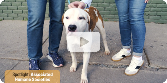 Associated Humane Societies in NJ