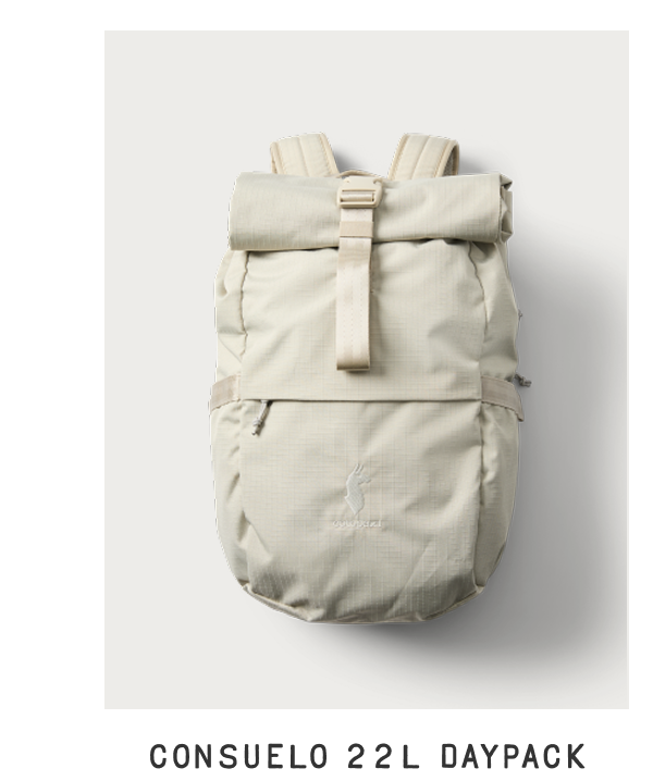 Consuelo 22L Daypack