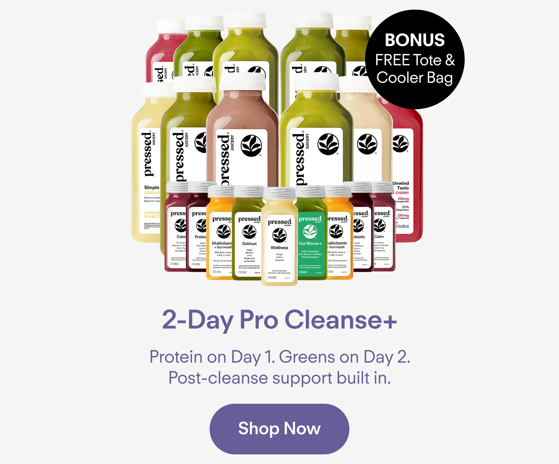 2-Day Pro Cleanse+