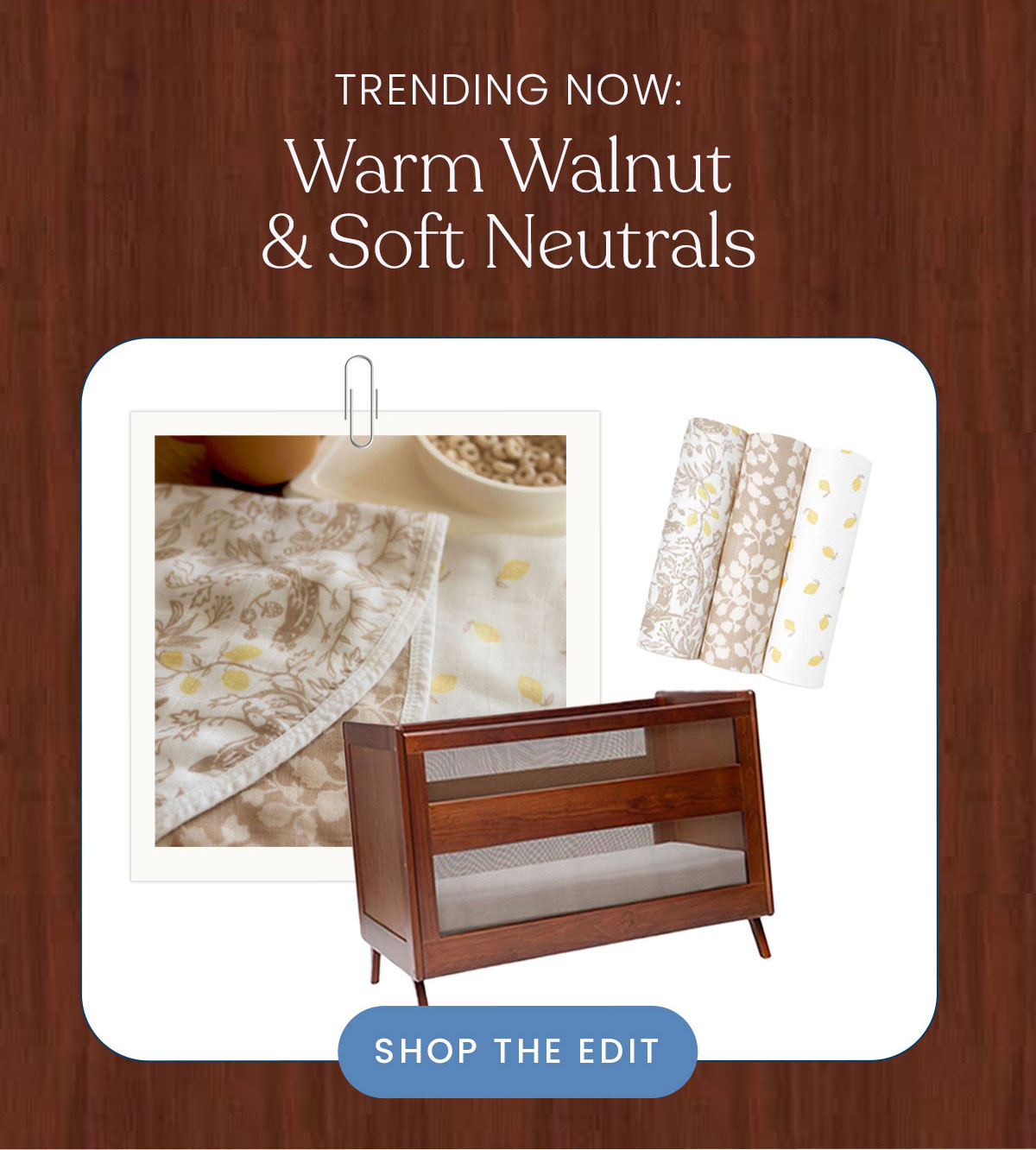 Trending Now: Warm Walnut & Soft Neutrals