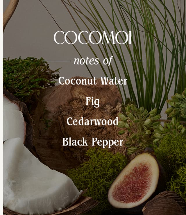 Cocomoi
