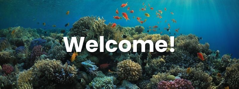 Welcome! Thanks for Subscribing