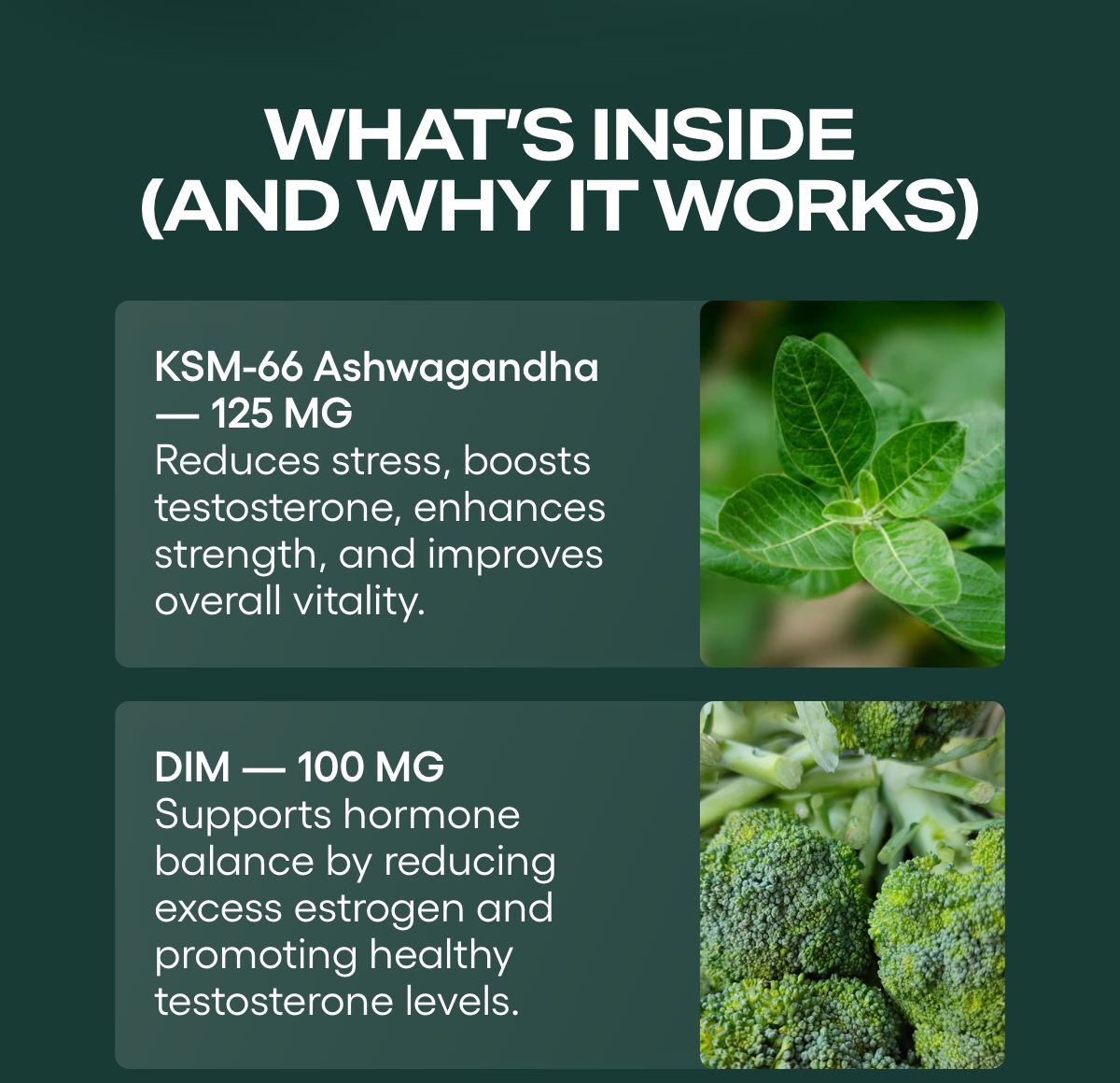 Ashwagandha — 125 MG: Reduces stress, boosts testosterone, enhances strength, and improves overall vitality. DIM — 100 MG: Supports hormone balance by reducing excess estrogen and promoting healthy testosterone levels.