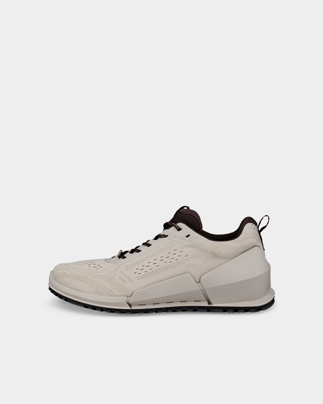 ECCO biom 2.0