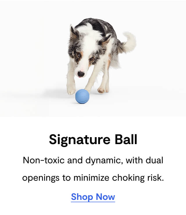 Signature Ball