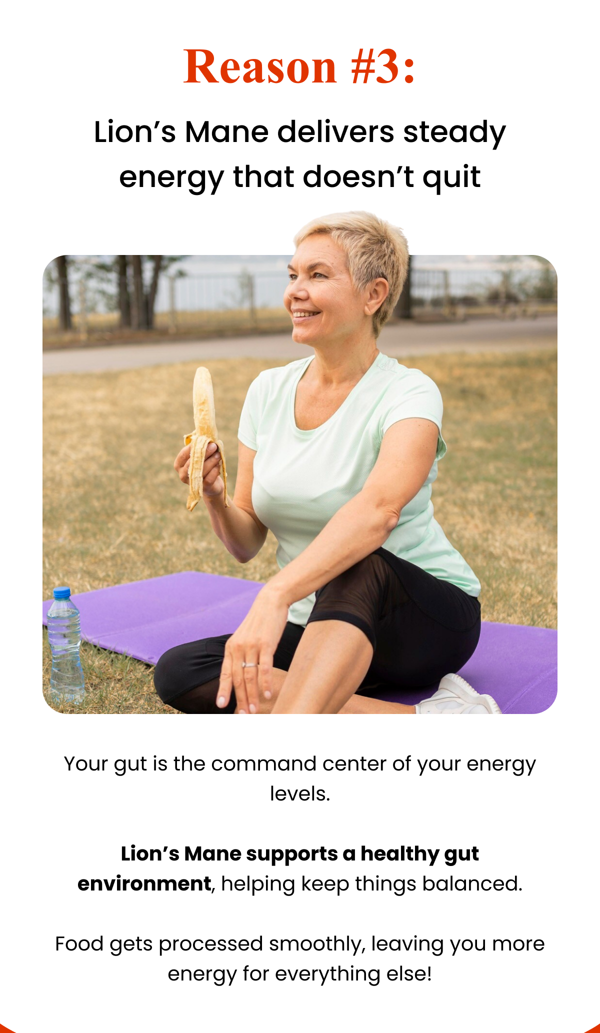 Lion's Mane delivers steady energy that doesn't quit