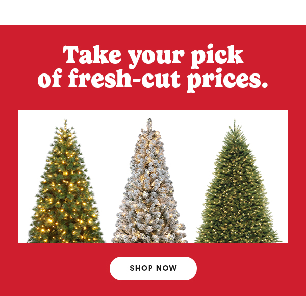 Take your pick of fresh-cut prices. Shop now.