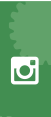 Follow Us on Instagram