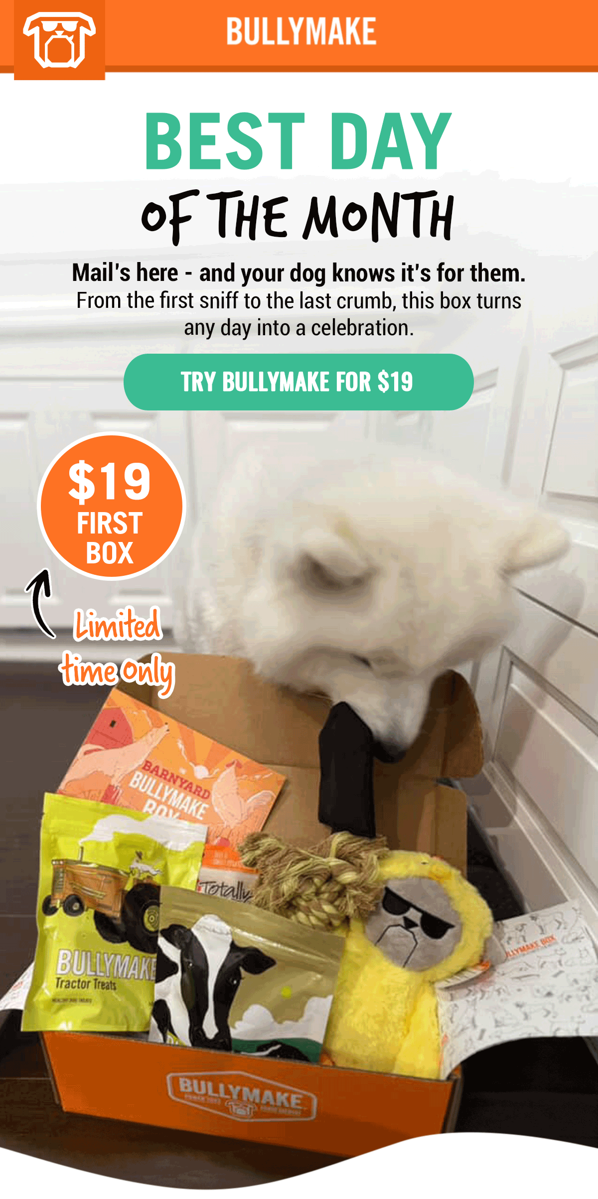 Bullymake Dog Toy Subscription Box