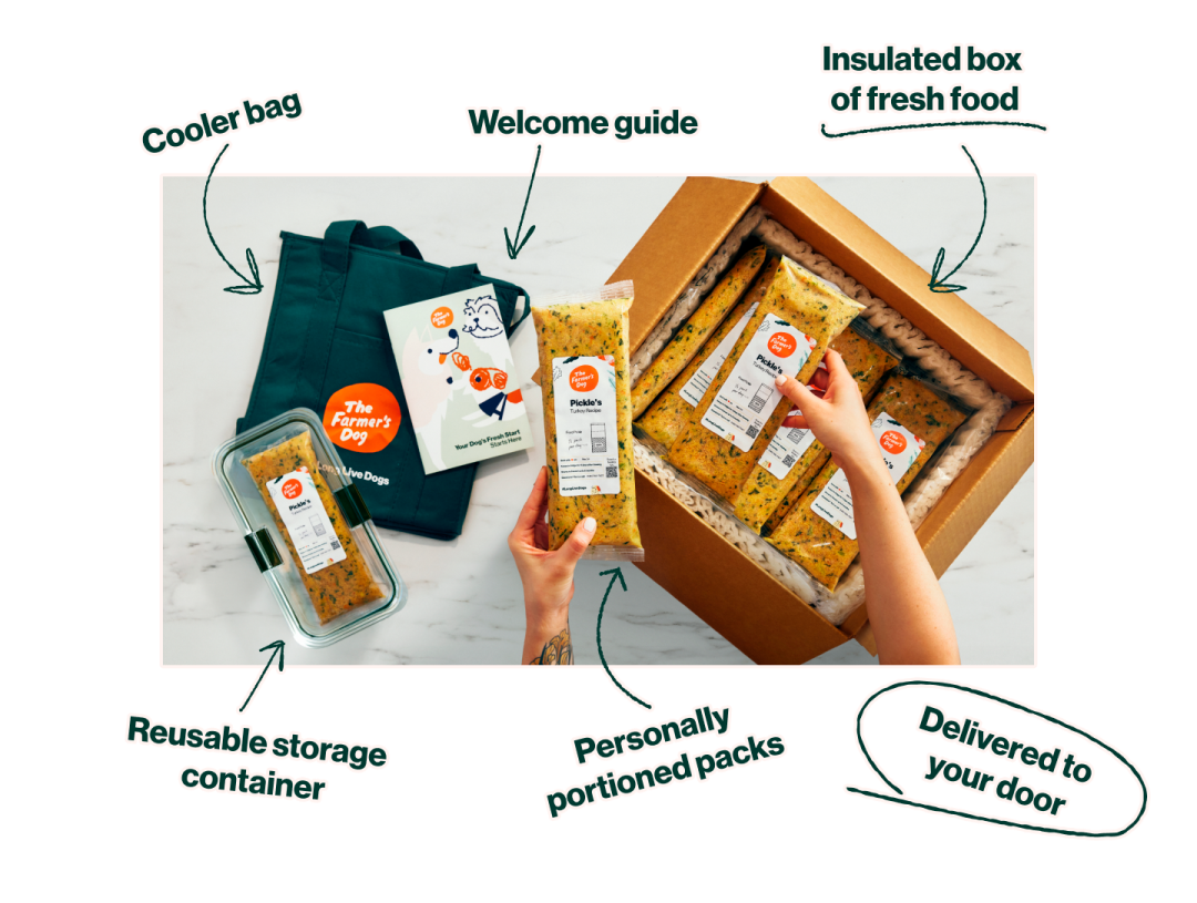 Cooler bag. Welcome guide. Insulated box of fresh food. Reusable storage container. Personally portioned packs. Delivered to your door