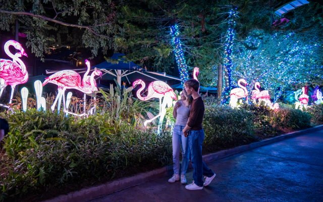 Plan your visit!