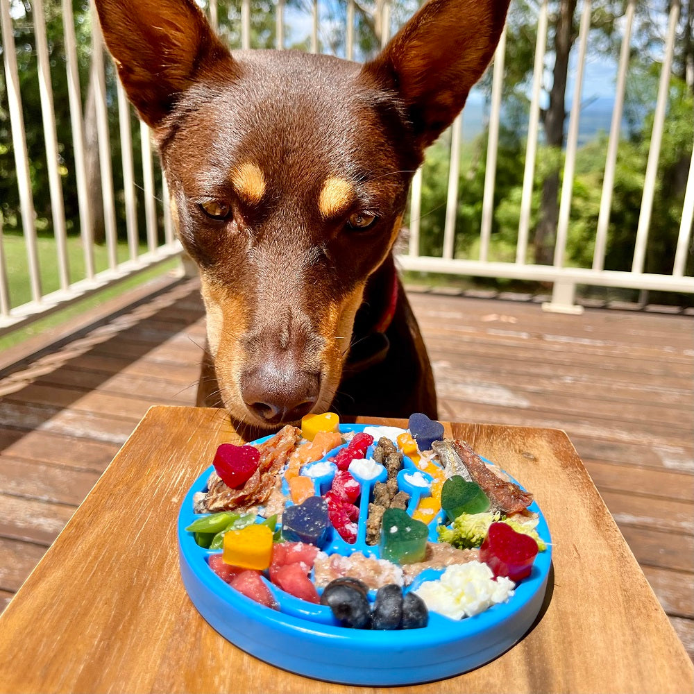 Dog using the Air Nylon eCoin Lick Mat for Dogs 