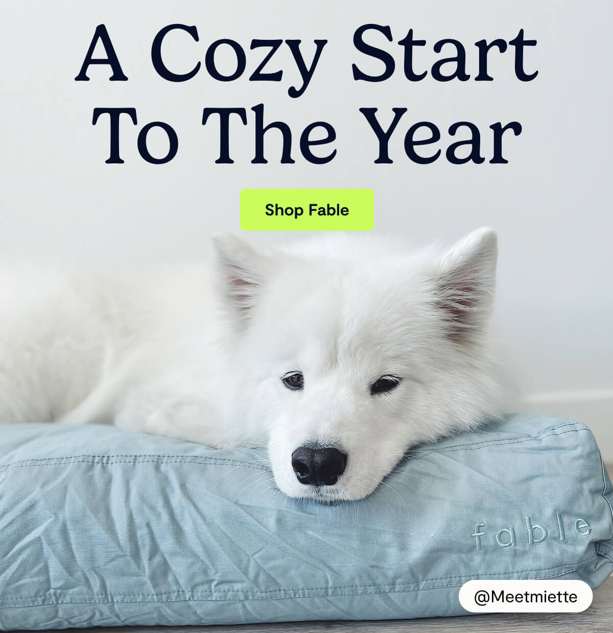A Cozy Start To The Year