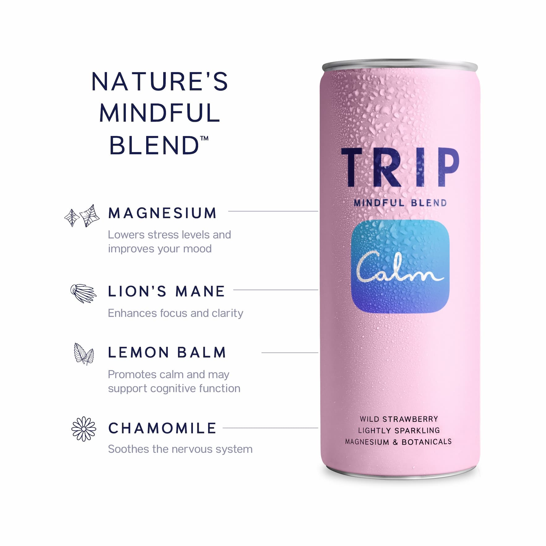 A can of new TRIP Wild Strawberry Mindful Blend with calming ingredients explained