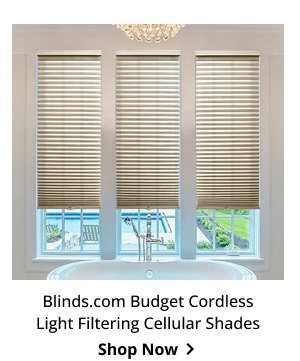 Blinds.com Budget Cordless Light Filtering Cellular Shades | Shop Now >