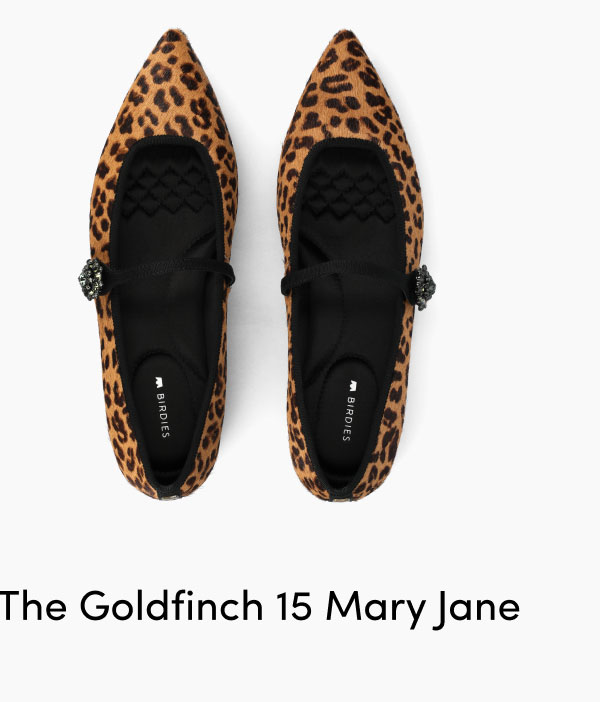 The Goldfinch 15 Mary Jane