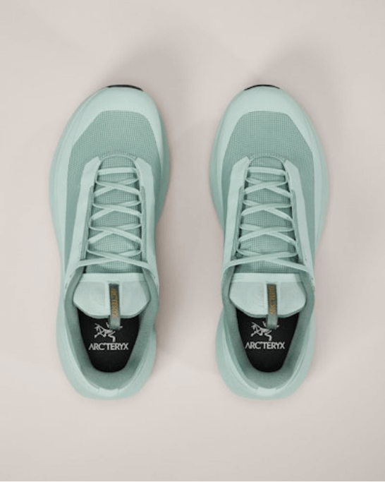 Norvan LD 4 GTX Shoe Men's