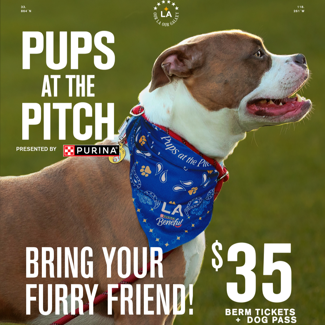 Pups at the Pitch