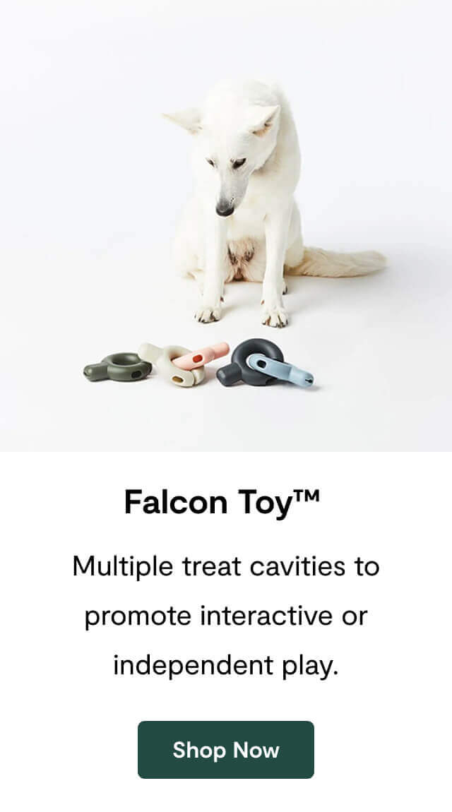 Falcon Toy™&nbsp;