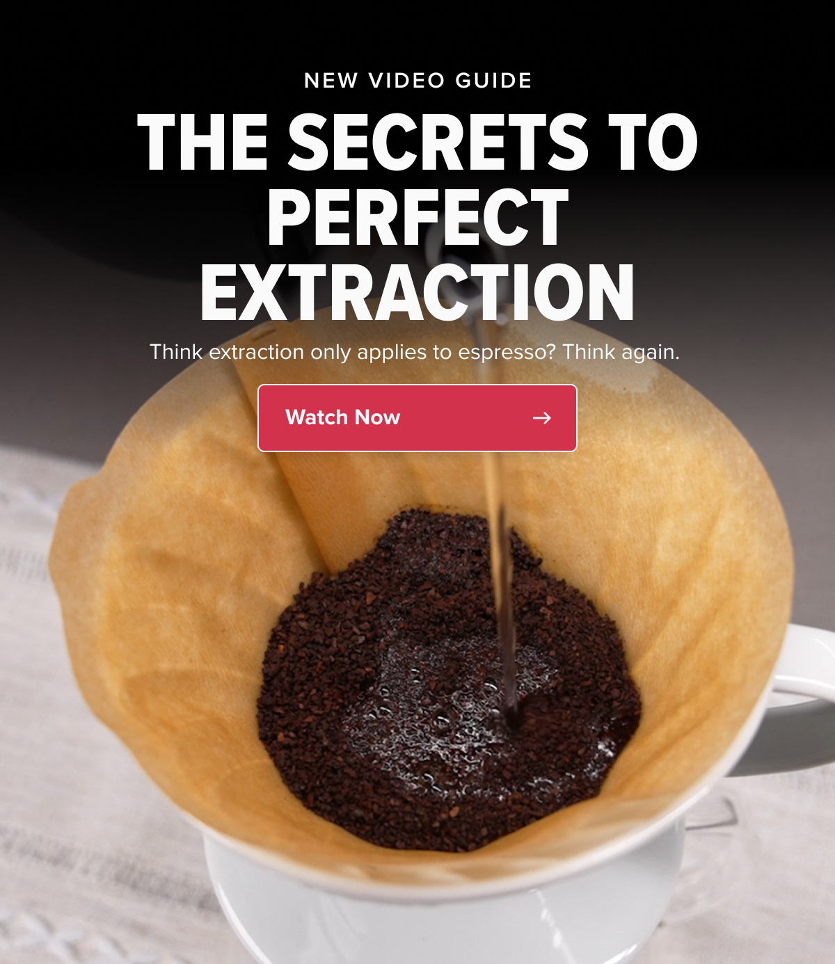 NEW VIDEO GUIDE THE SECRETS TO PERFECT EXTRACTION Think extraction only applies to espresso? Think again.&nbsp; Watch Now