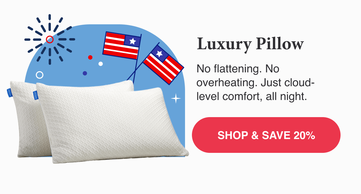 Luxury Pillow