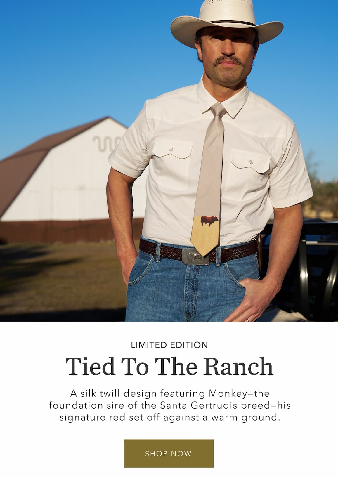 Santa Gertrudis Heritage Tie