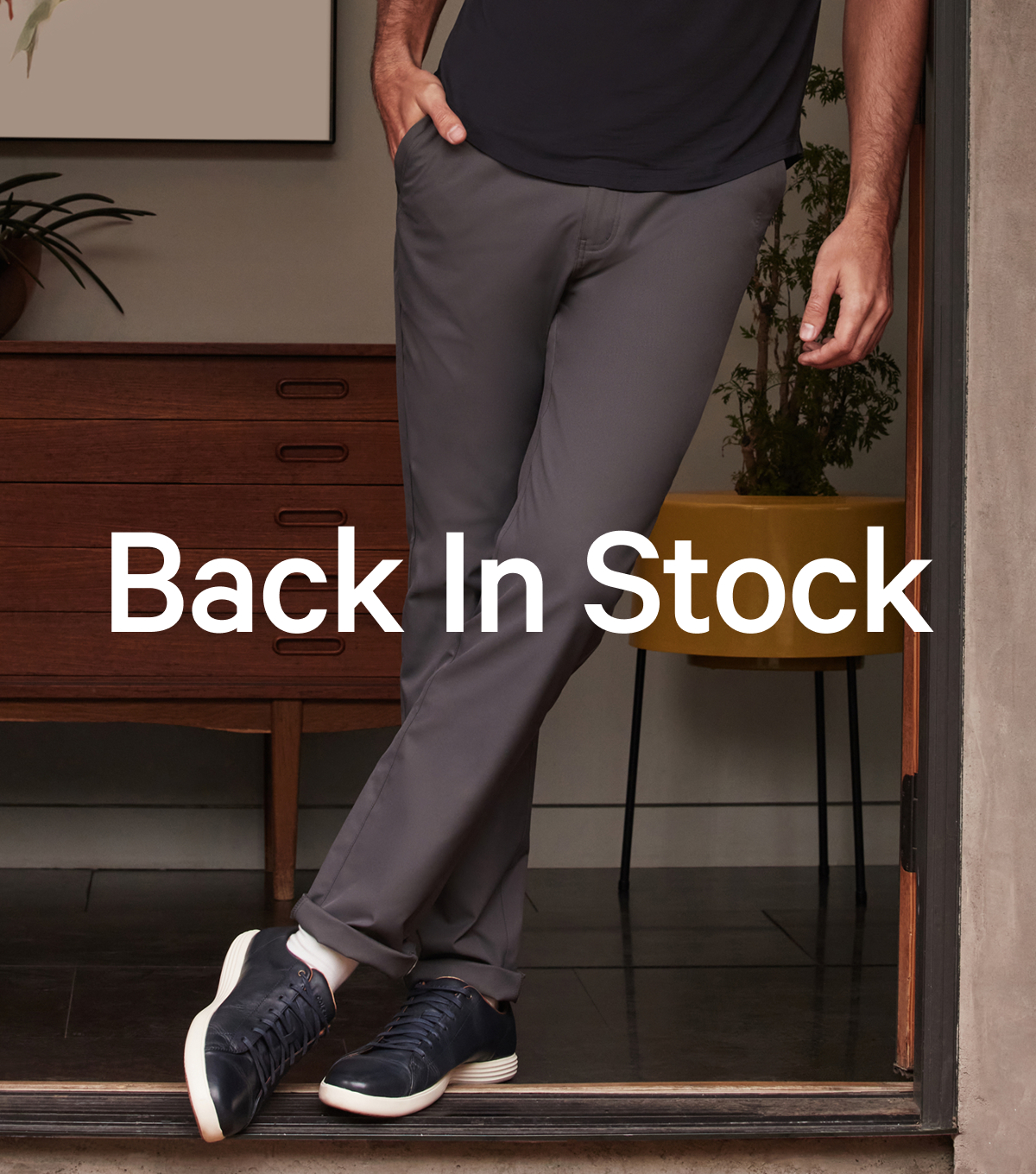 Back In Stock