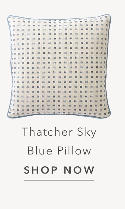Thatcher Sky Blue Embroidered Throw Pillow - 22x22
