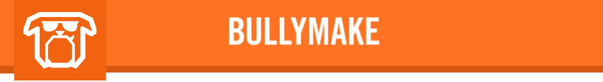 Bullymake Dog Toy Subscription Box