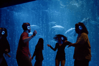 a gif of people dancing at a silent disco backlit by tuna, sea turtles, and other marine animals swimming in the Open Sea exhibit of the Monterey Bay Aquarium