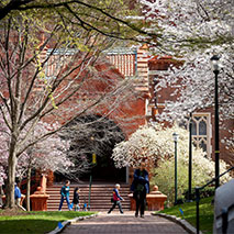 People walk through spring trees on Penn's campus.