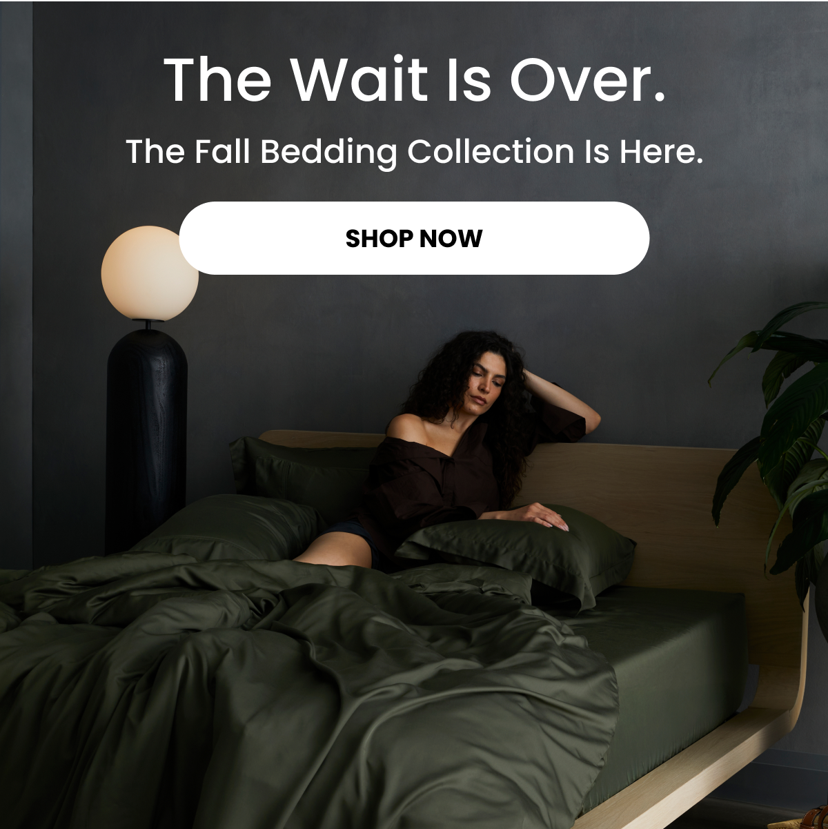 The Wait Is Over. The Fall Bedding Collection Is Here. SHOP NOW 