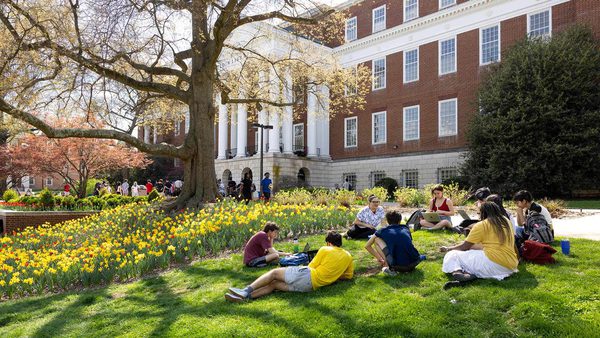 students sit outside McKeldin Library, surrounded by yellow and red flowers and a large tree