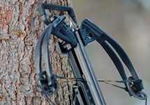 Inspecting Your Crossbow Limbs