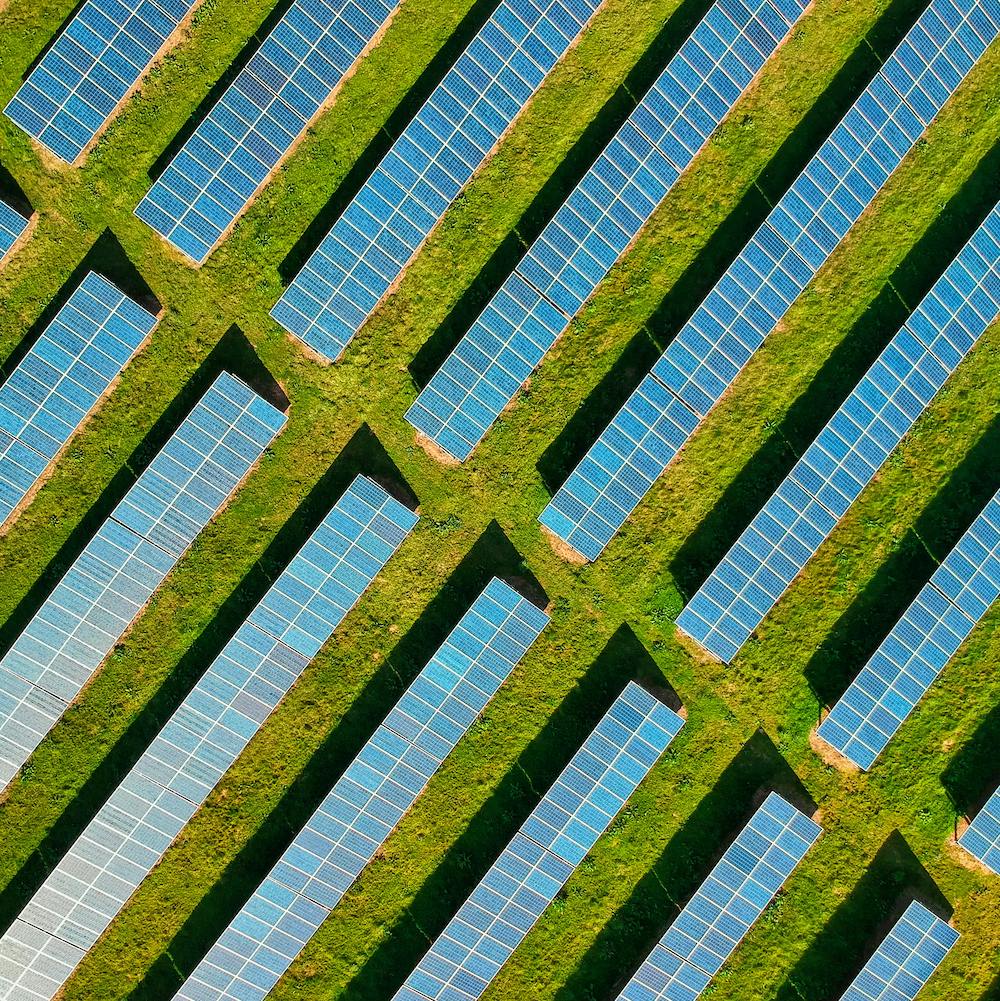 An aerial view of lines of solar panels on bright green grass. 