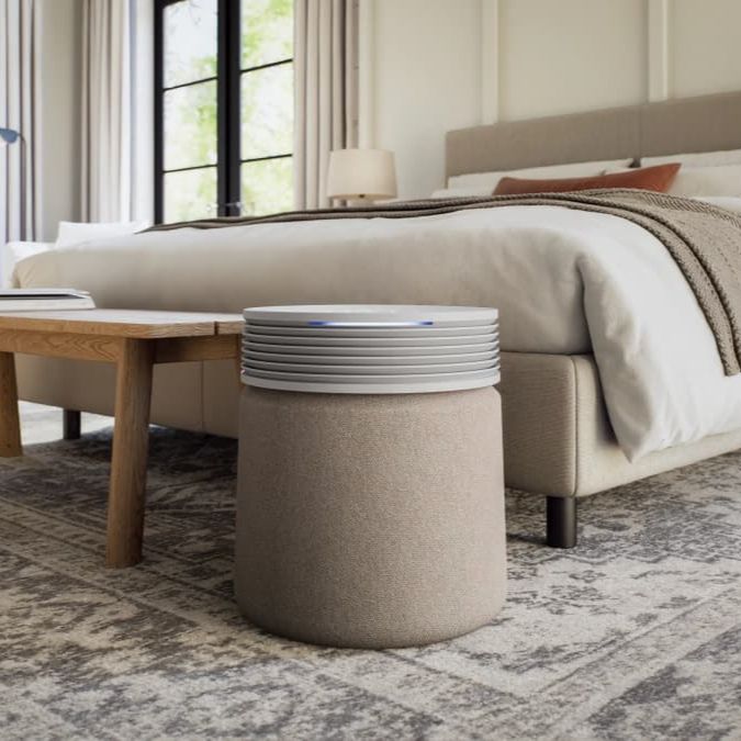 Blueair systems. DESIGNER TO REPLACE
