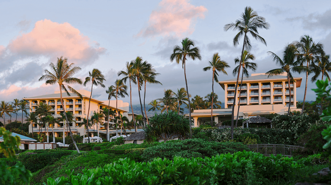 A view of the resort surrounded by palm trees.