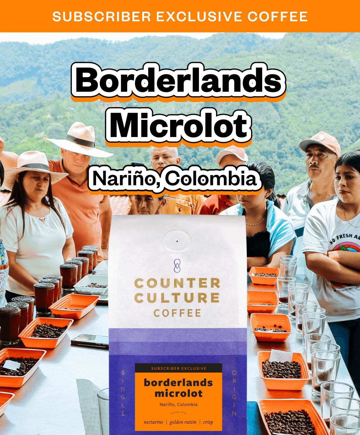 Subscriber exclusive coffee Borderlands Microlot Narino, Colombia 