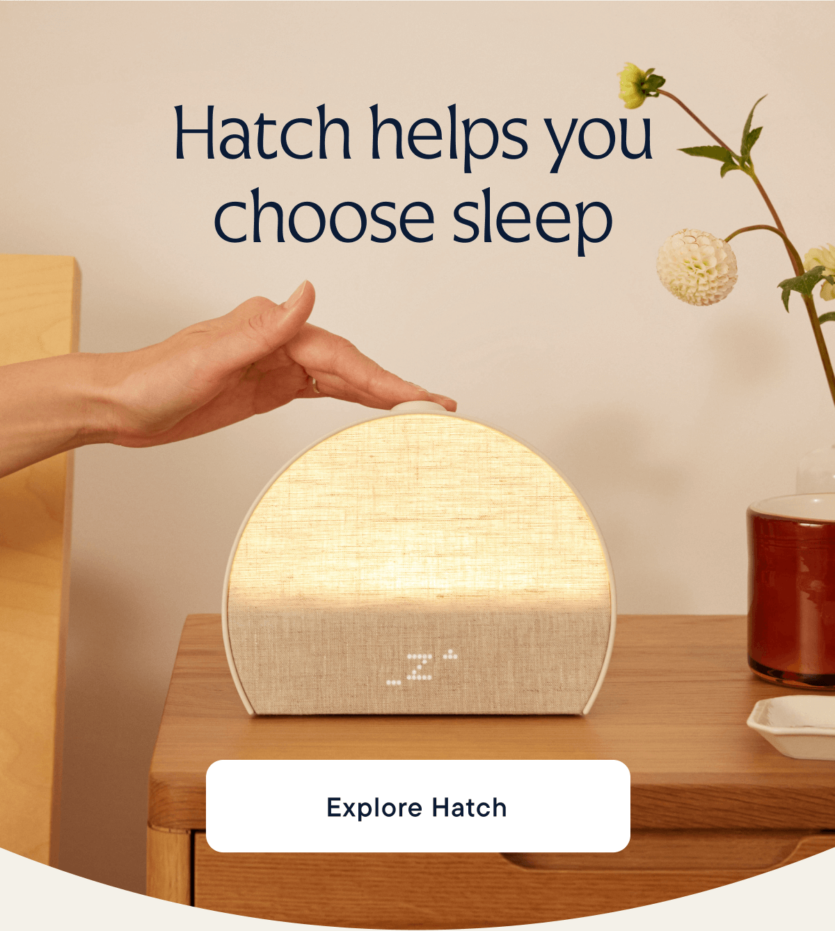 Explore Hatch