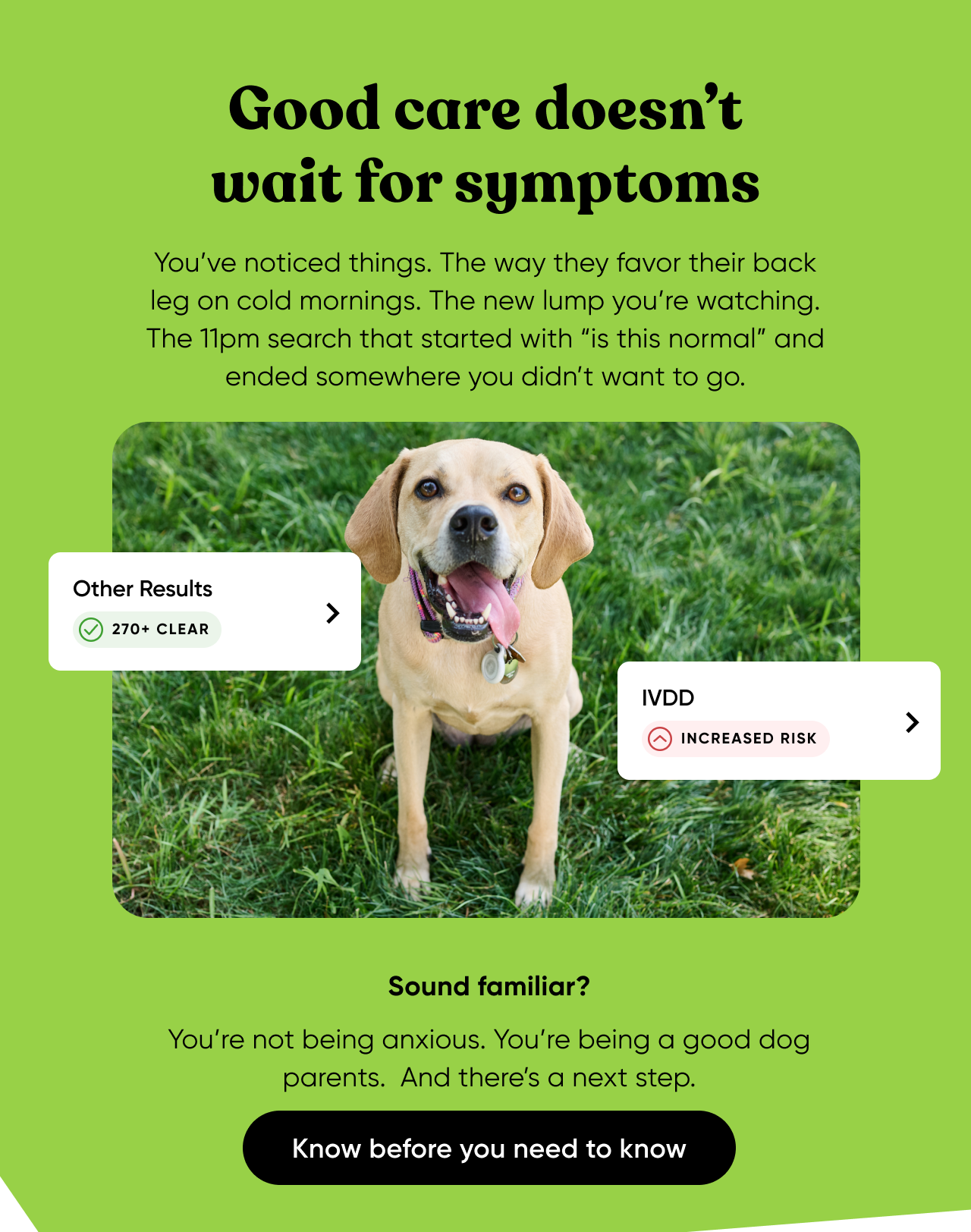Good care doesn't wait for symptoms. You’ve noticed things. The way they favor their back leg on cold mornings. The new lump you’re watching. The 11pm search that started with “is this normal” and ended somewhere you didn’t want to go. Sound familiar? You’re not being anxious. You’re being a good dog parents. And there’s a next step. Know before you need to know.