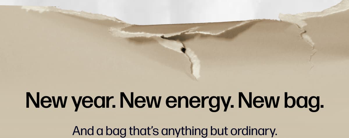 New year. New energy. New bag. | And a bag that’s anything but ordinary.