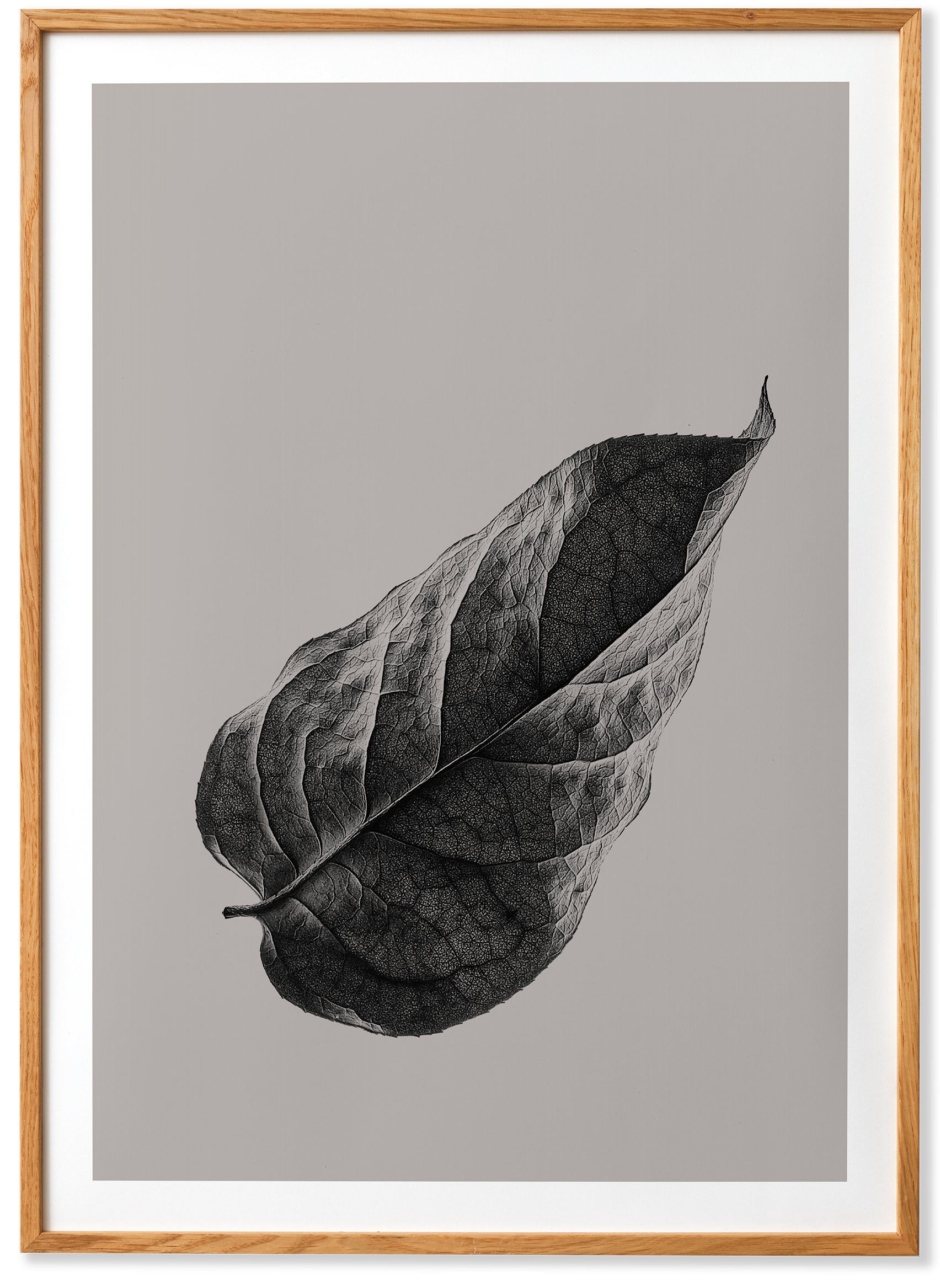 Sabi Leaf 01