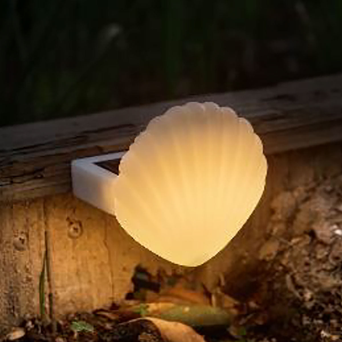 Image of Shell Solar Powered Deck Lights (Set of 4)