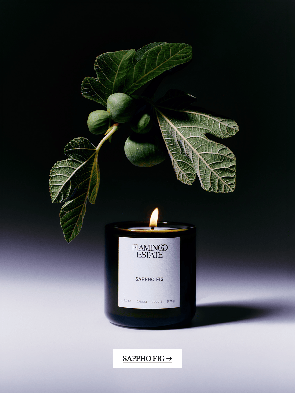 Sappho Fig