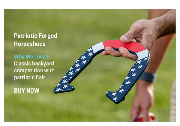 Patriotic Forged Horseshoes