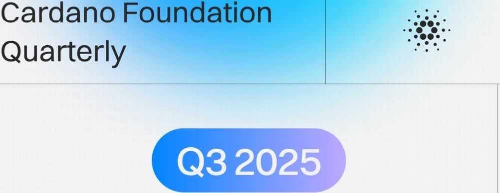 Updates from the Cardano Foundation WK44